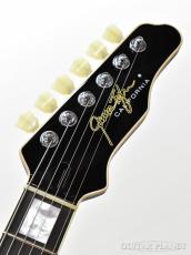 James Tyler James' Semi-Hollow Grail -Tobacco Burst-【鳥山雄司さん使用スペック】_6