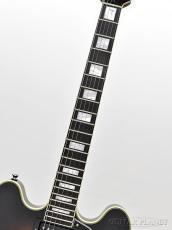James Tyler James' Semi-Hollow Grail -Tobacco Burst-【鳥山雄司さん使用スペック】_7