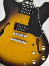 James Tyler James' Semi-Hollow Grail -Tobacco Burst-【鳥山雄司さん使用スペック】_8