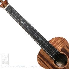 TODA Guitars VB ALL Wild Mango_5
