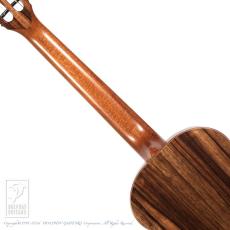 TODA Guitars VB ALL Wild Mango_6