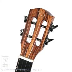 TODA Guitars VB ALL Wild Mango_7