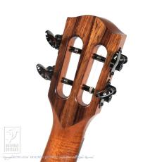 TODA Guitars VB ALL Wild Mango_8