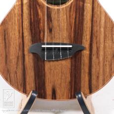 TODA Guitars VB ALL Wild Mango_10