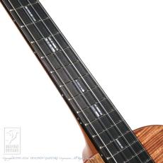 TODA Guitars VB ALL Wild Mango_13