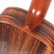 TODA Guitars VB ALL Wild Mango_14