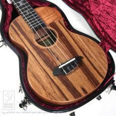 TODA Guitars VB ALL Wild Mango_15