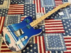 Fender Japan Fender ART CANVAS ESQUIRE HIROSHI NAGAI No.1_2