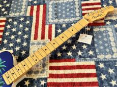 Fender Japan Fender ART CANVAS ESQUIRE HIROSHI NAGAI No.1_3