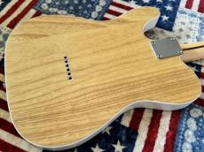 Fender Japan Fender ART CANVAS ESQUIRE HIROSHI NAGAI No.1_5