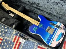 Fender Japan Fender ART CANVAS ESQUIRE HIROSHI NAGAI No.1_7