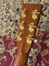 ASTURIAS 【USED】 Solo Herringbone KOBE LTD PLUS [Finger Style]【G-CLUB TOKYO】_5
