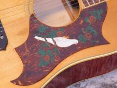 Gibson Dove '70_8