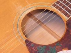 Gibson Dove '70_13
