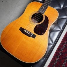 The Kasuga BG-100_2