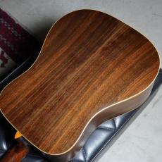 The Kasuga BG-100_5