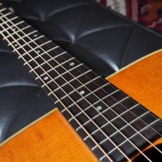 The Kasuga BG-100_6