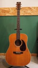 The Kasuga BG-100_10