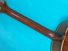 Gibson J-50_8
