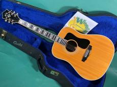 Guild D-55 NT