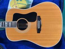 Guild D-55 NT_2