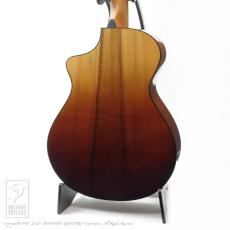 Breedlove Oregon Concert Sahara CE LTD_3