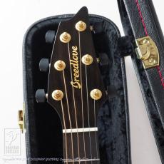 Breedlove Oregon Concert Sahara CE LTD_6