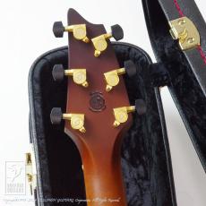 Breedlove Oregon Concert Sahara CE LTD_7