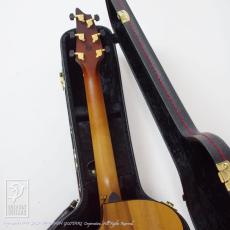Breedlove Oregon Concert Sahara CE LTD_9