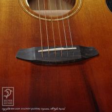 Breedlove Oregon Concert Sahara CE LTD_11