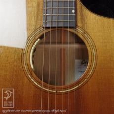 Breedlove Oregon Concert Sahara CE LTD_12
