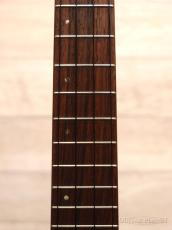 Seilen SLC-500 【コンサート/小笠原産タマナ】【24回金利0%対象】【送料込】_7