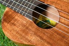 Big Island KT-CTS Concert_10