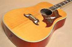 Gibson DOVE　2011年製_3