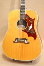 Gibson DOVE　2011年製_5