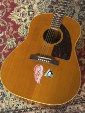 Epiphone 【USED】 Paul McCartney Texan FT-79 【2005年製】 