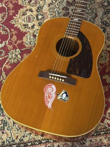 Epiphone 【USED】 Paul McCartney Texan FT-79 【2005年製】 