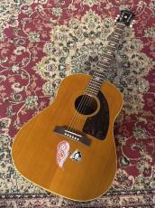 Epiphone 【USED】 Paul McCartney Texan FT-79 【2005年製】 _2