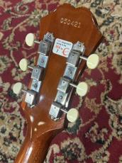 Epiphone 【USED】 Paul McCartney Texan FT-79 【2005年製】 _5
