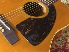 Epiphone 【USED】 Paul McCartney Texan FT-79 【2005年製】 _7