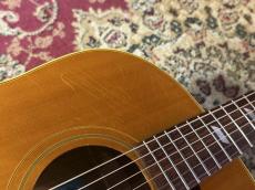 Epiphone 【USED】 Paul McCartney Texan FT-79 【2005年製】 _8