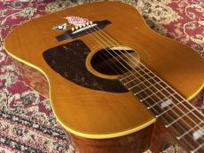 Epiphone 【USED】 Paul McCartney Texan FT-79 【2005年製】 _13