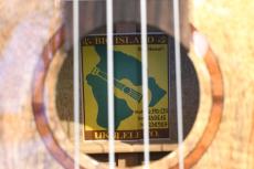 Big Island U-MO-CTS Concert_15