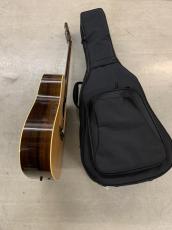 Switch Custom Guitars SCD-2HC  L.R Baggs Anthem ピックアップ付き!_10