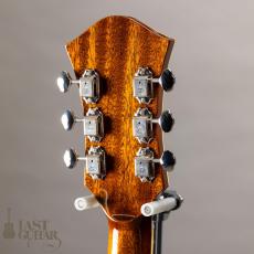 Rozeo Ladybug-CB CM HB/SS/Vintage Amber_6