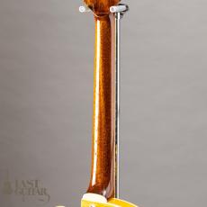 Rozeo Ladybug-CB CM HB/SS/Vintage Amber_7