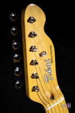Tokai ATE/M IB_6