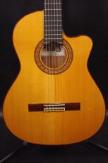 Tears Guitar ECL-650T