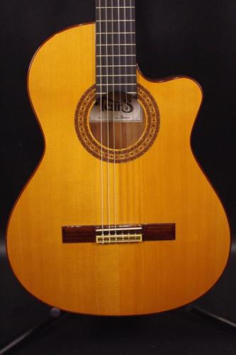 Tears Guitar ECL-650T