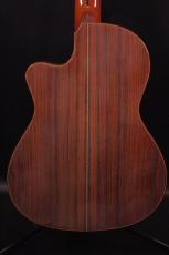 Tears Guitar ECL-650T_2